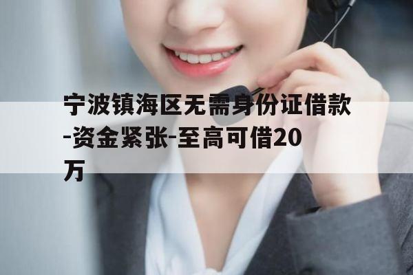 宁波镇海区无需身份证借款-资金紧张-至高可借20万