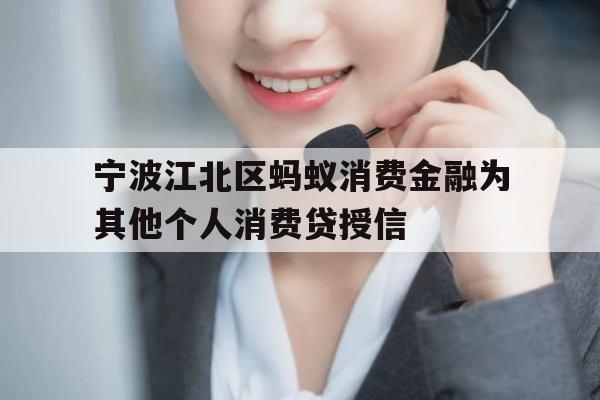 宁波江北区蚂蚁消费金融为其他个人消费贷授信