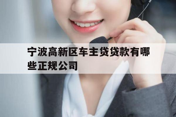 宁波高新区车主贷贷款有哪些正规公司