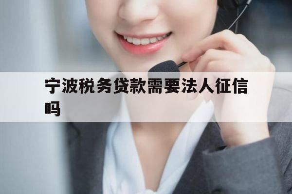 宁波税务贷款需要法人征信吗