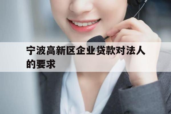 宁波高新区企业贷款对法人的要求