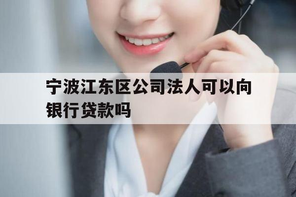 宁波江东区公司法人可以向银行贷款吗